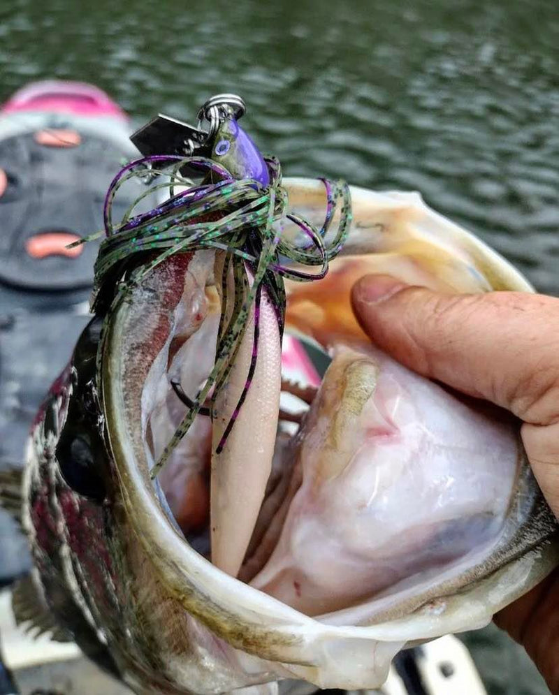 Shak’N Swim Jig