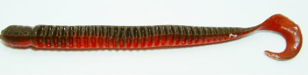 4" Ring Worm