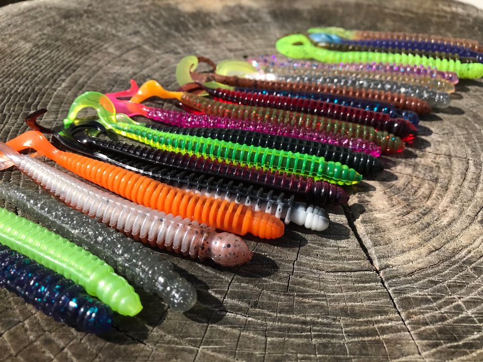 group of colored ring worms